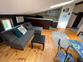 Apartament Studio Nał��czów